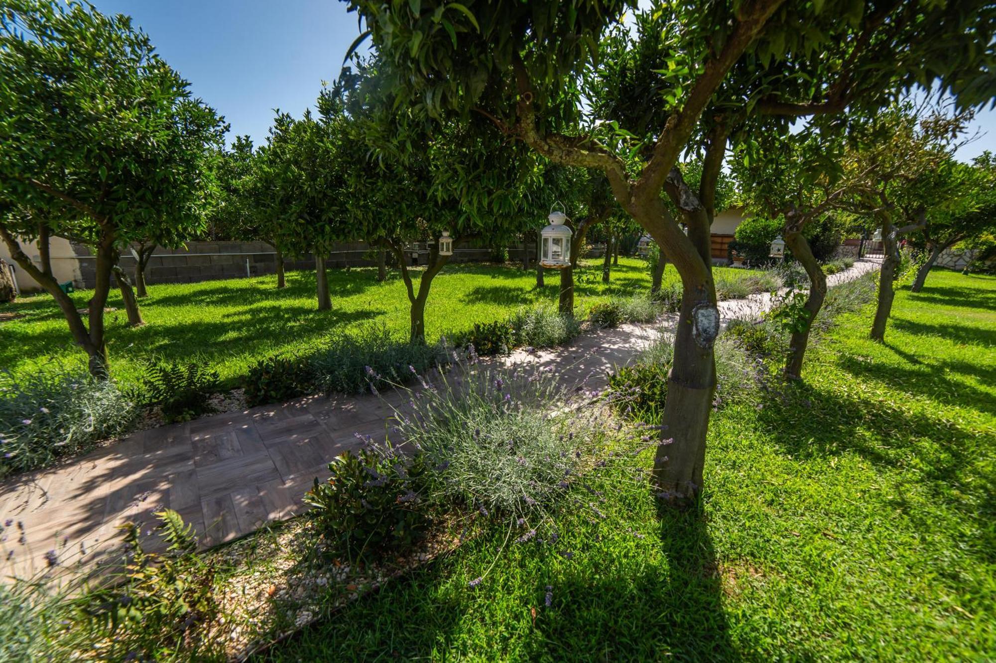 I Lecci Guesthouse San Felice Circeo Exterior foto